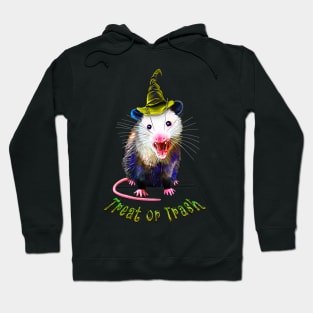 Treat or trash Halloween Possum Hoodie